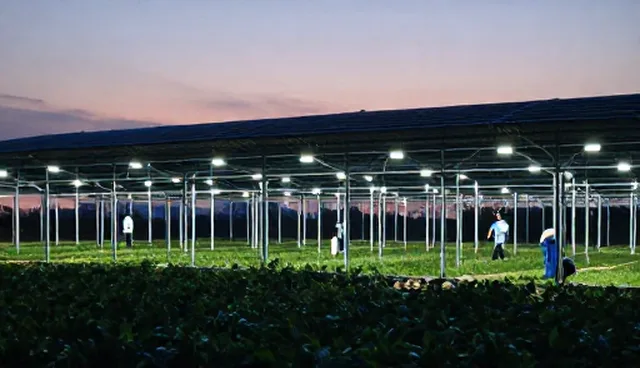 如何用提示词模板插件提升风险控制效率?