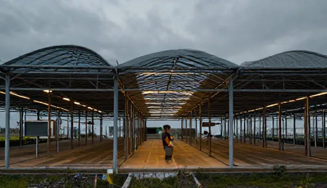 AI提示词工程师太难干了,两种做法如何取舍