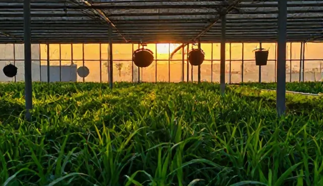 提示词注入:澄清理解偏差与使用误区