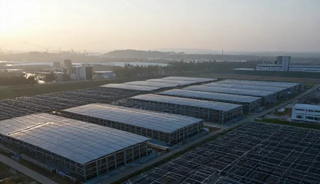 Claude提示词分类目录管理中的实际环节与优化