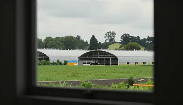 豆包ai视频提示词对开发者的影响原因分析
