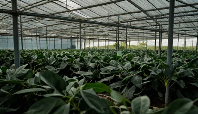提示词工程的技巧:5个检查要点提升结果影响