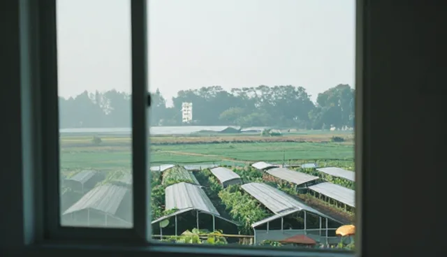 提示词泄露:两种做法的对比与实际取舍