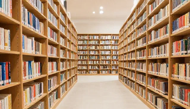 恋爱咨询提示词:分类目录管理的实用分析