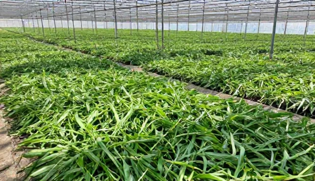 AL提示词100个:热门排行更新分析