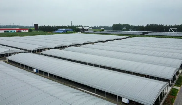 prompt名词怎么写:优化提示词的两个实际环节