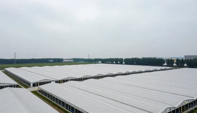短视频脚本提示词：两种做法的对比与实际取舍