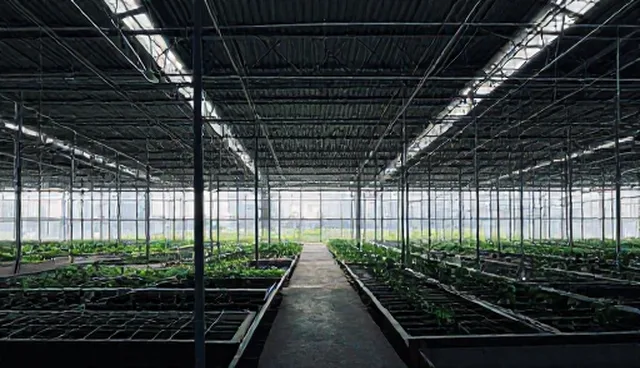 技术支持人员如何识别运镜轨迹提示词的异常表现